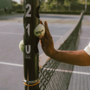 Ball Feeder Pole